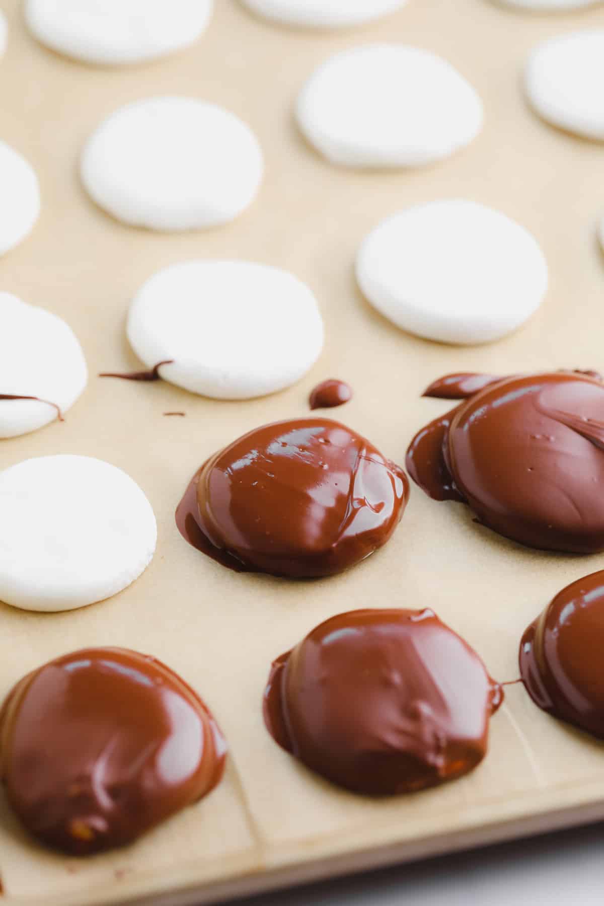 chocolate-coated white peppermint discs on a parchment-lined baking sheet.