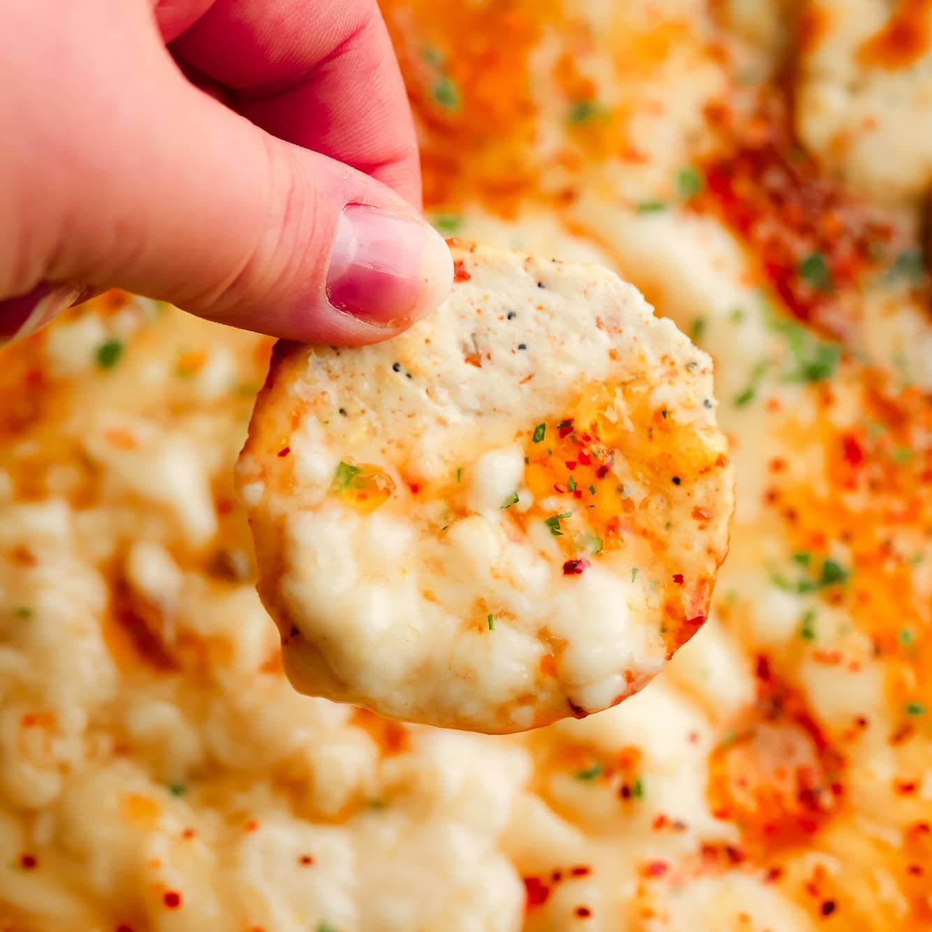Vegan Brie Dip With Pepper Jelly VeganFanatic vegan-brie-dip-with-pepper-jelly-veganfanatic