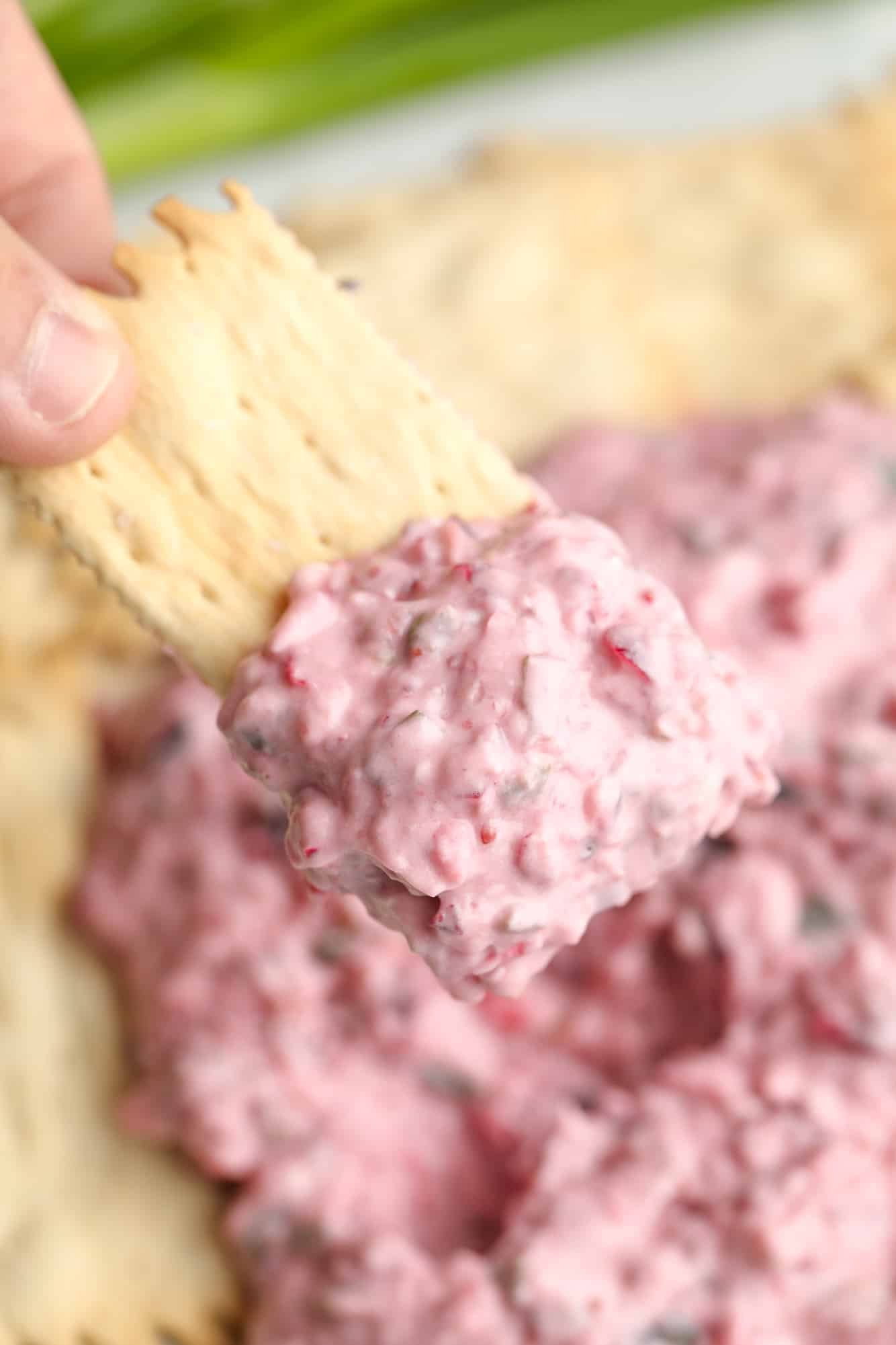 close up of a womans hand holding a cracker with a scoop of cranberry jalapeno dip.