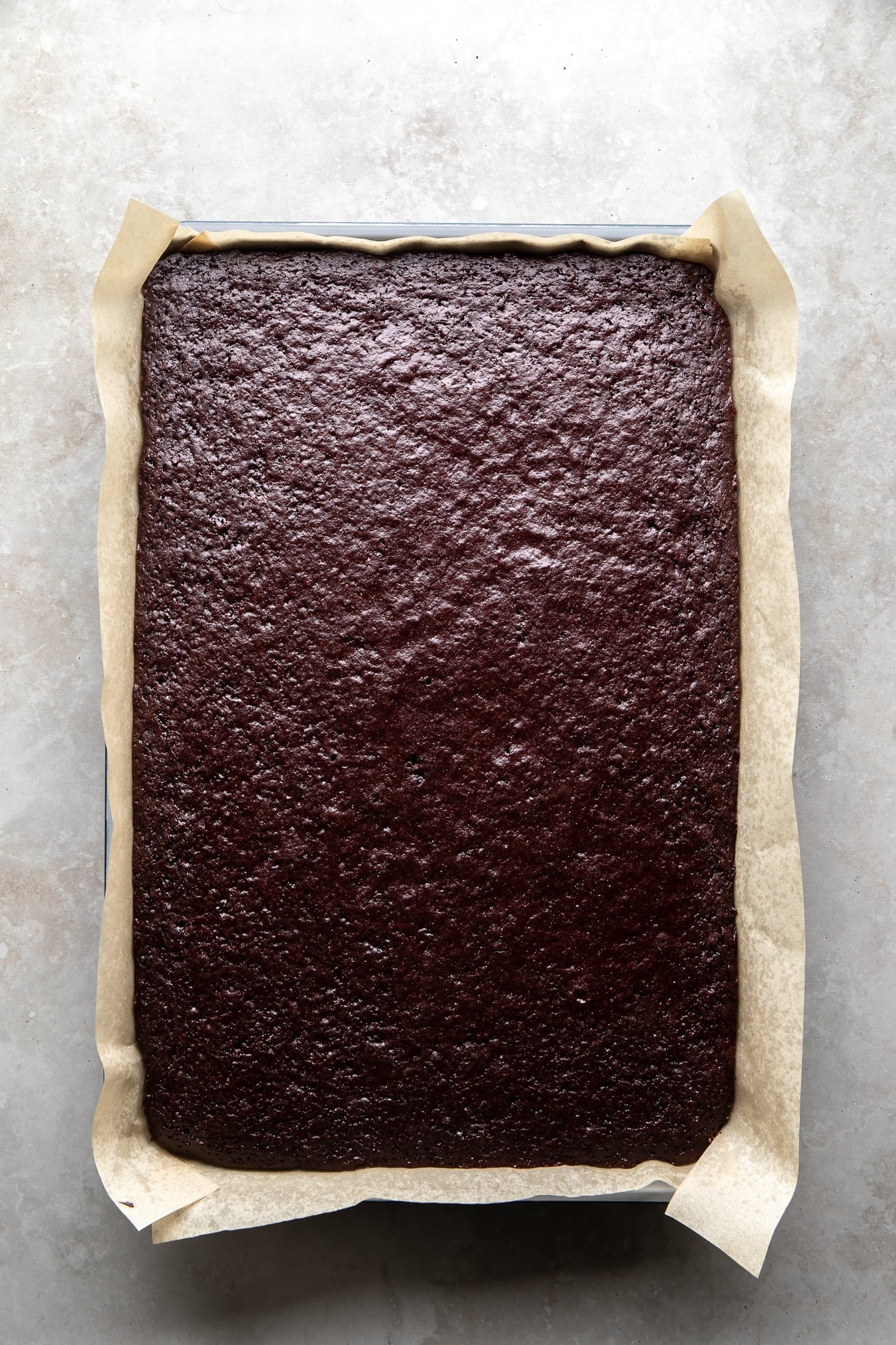 overhead view of a baked chocolate sponge cake in a large sheet pan.