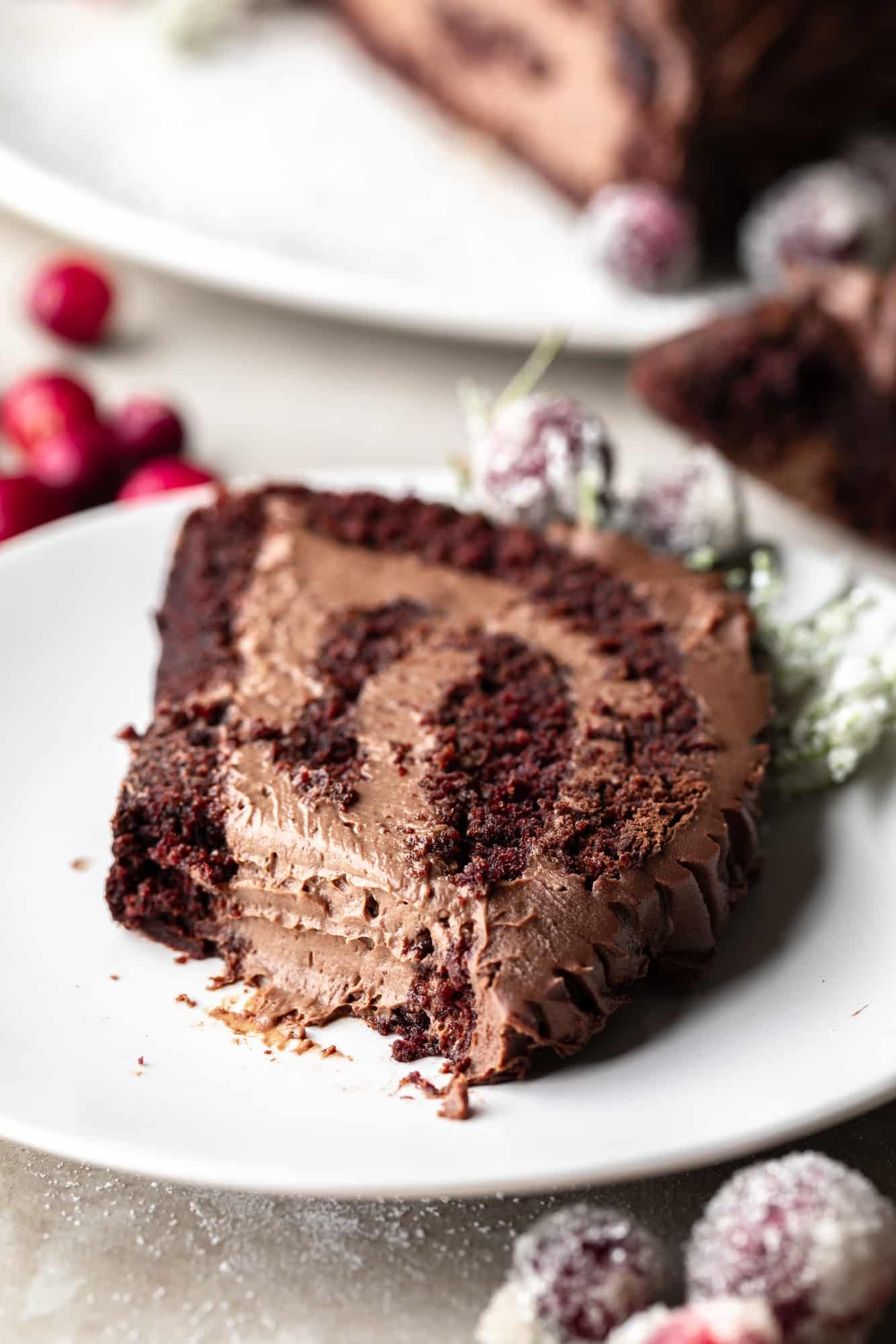 side view of a slice of a vegan yule log cake on a white plate.